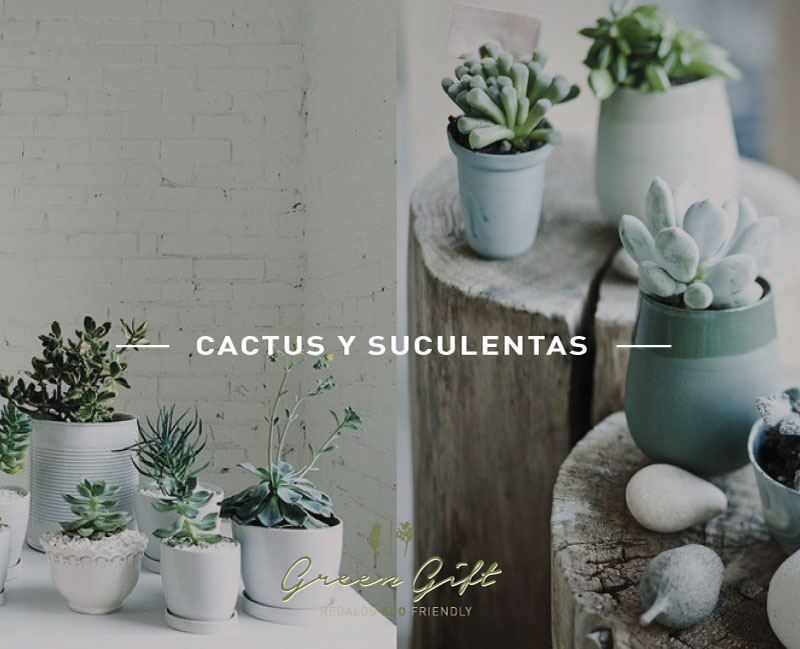post-cactus2