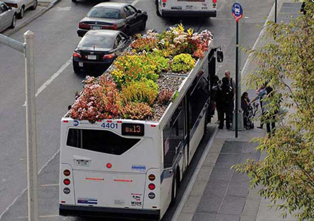 Bus Roots Techos verdes