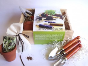 KIT PLANTACION AROMATICAS