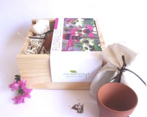 KIT PLANTACION FLORALES_2