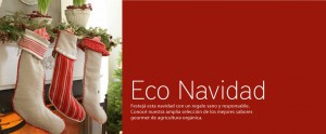 banner-navidad