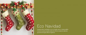 banner-navidad