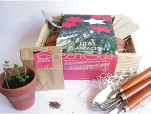 COFRE-DE-CULTIVO-NAVIDAD