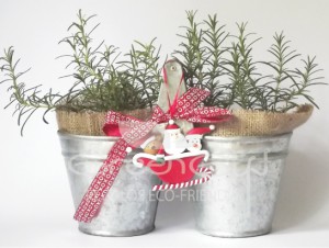 jardinero-aromaticas-navidad