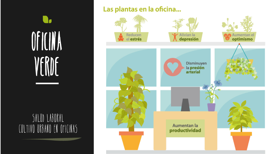 Beneficios de las plantas en oficinas