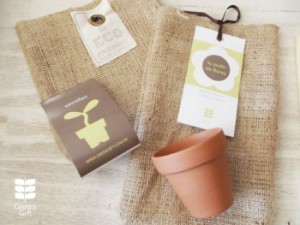 Nuevo imagen - Kit de cultivo floral