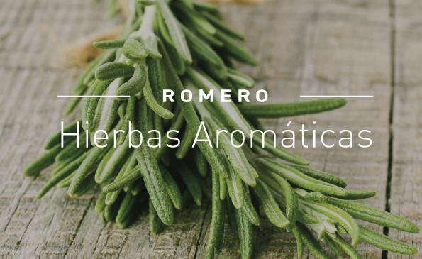 5 Plantas aromáticas que tenés que tener