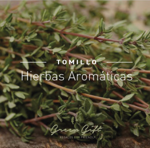 hierbas-tomillo